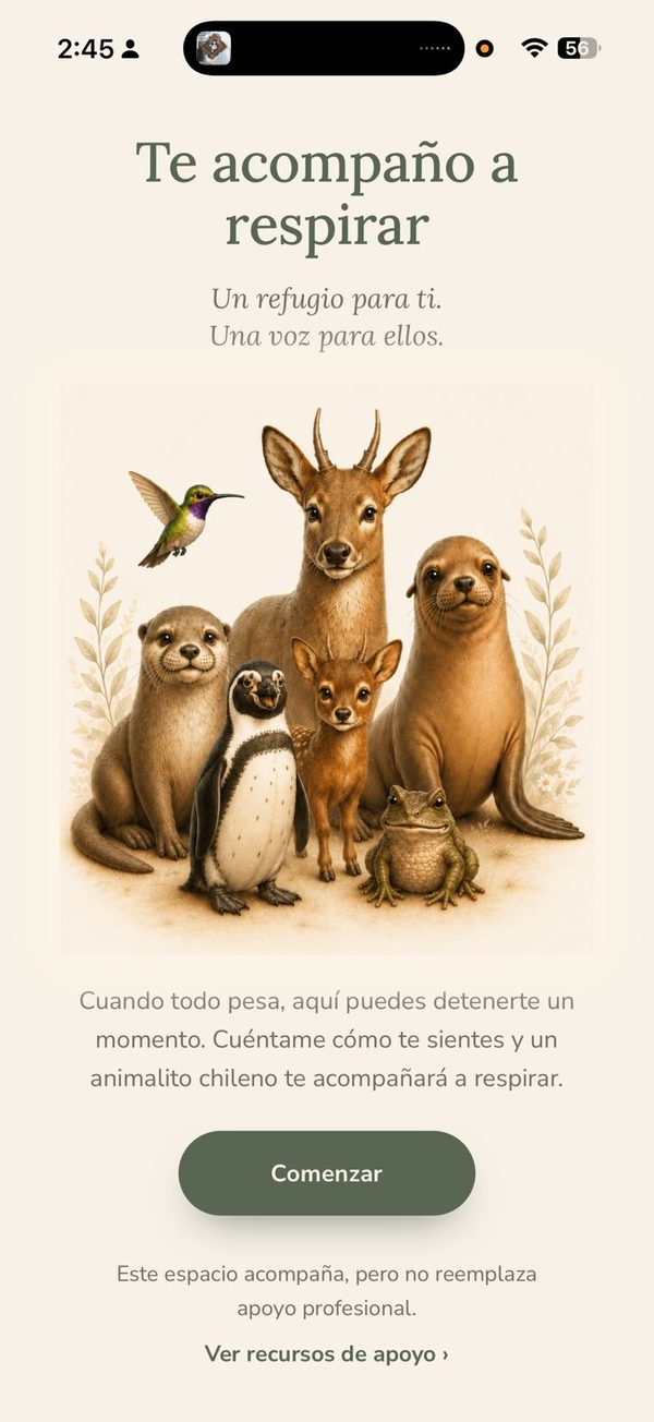 Pantalla de la experiencia Te acompano a respirar, con animales nativos